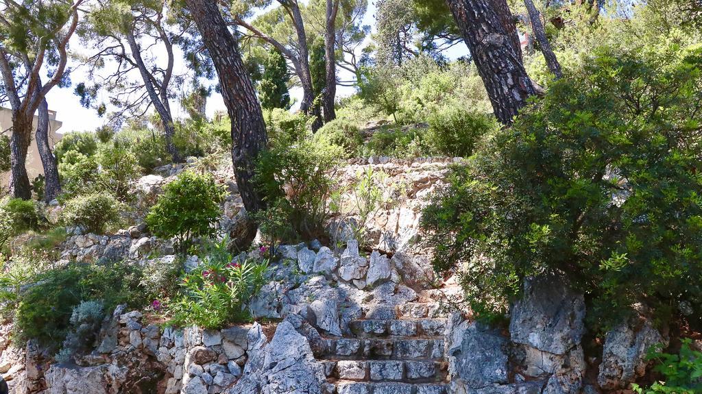 Les Jardins de Villefranche Extérieur photo